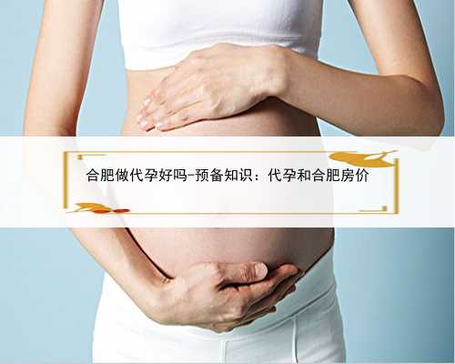 合肥做代孕好吗-预备知识：代孕和合肥房价