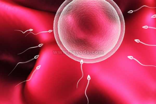 供卵试管和自卵成功率,卵巢早衰无法生育应该怎么办？