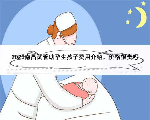 2023南昌试管助孕生孩子费用介绍，价格很贵吗
